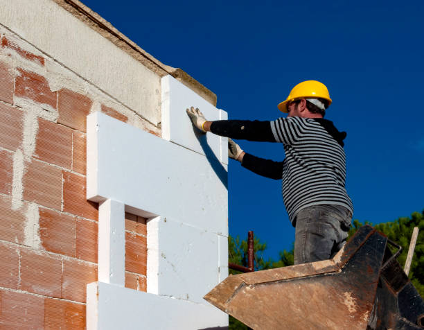 Best Specialized Insulation Services in Buenaventura Lakes, FL