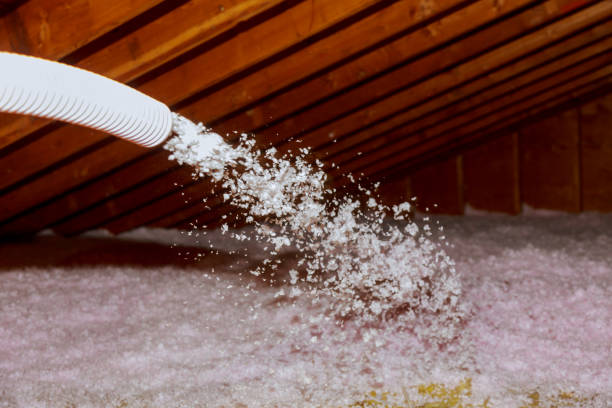Best Geographic-Specific Insulation Services in Buenaventura Lakes, FL