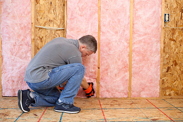 Best Specialized Insulation Services in Buenaventura Lakes, FL
