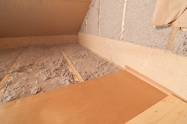 Buenaventura Lakes, FL Insulation Contractor Company